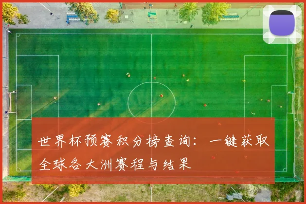 世界杯预赛积分榜查询：一键获取全球各大洲赛程与结果