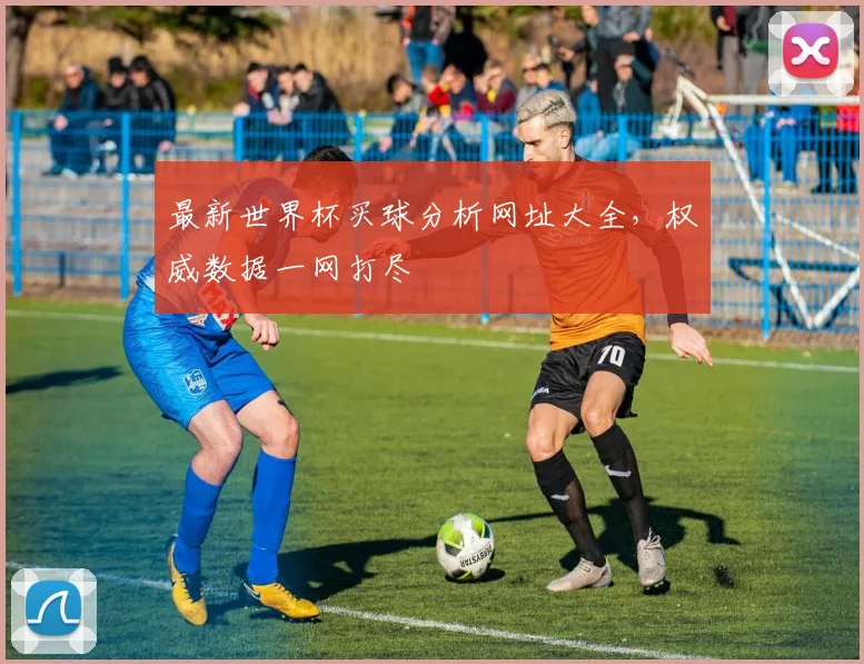 最新世界杯买球分析网址大全，权威数据一网打尽